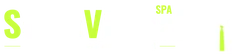 Socio Virtual SpA, servicios de programación e internet